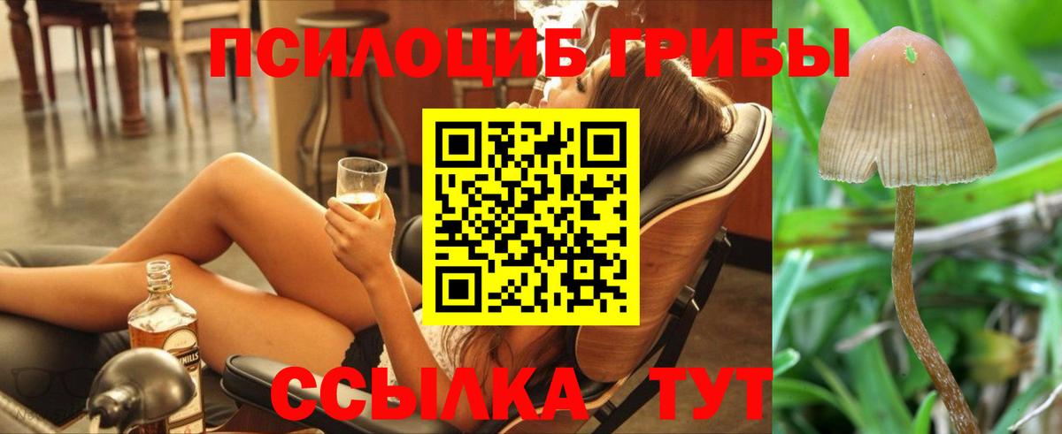Мытищи  Псилоцибиновые грибы GOLDEN TEACHER  Вход с VPN 